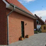 Elisa *