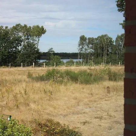 Elisa * פטרספלד