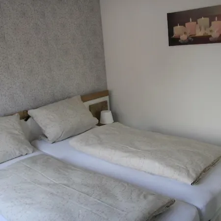 Elisa * פטרספלד