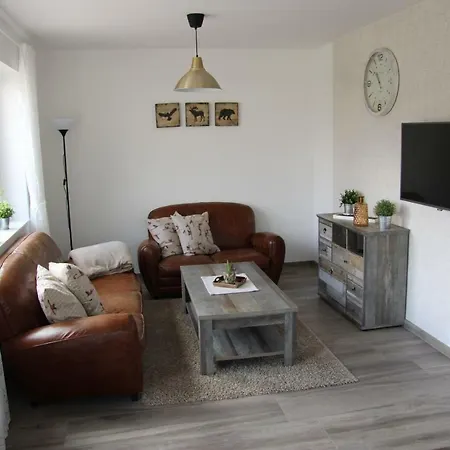 Elisa * פטרספלד